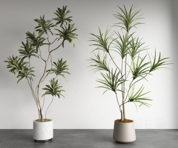 Modern Ground Green Plant Potted Plants-ID:332511908