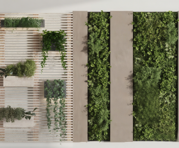 Modern Plant Wall-ID:182843926