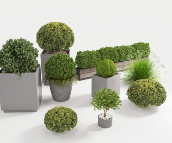 Modern Flower Bed, Flower Bowl, Flower Box-ID:977571962