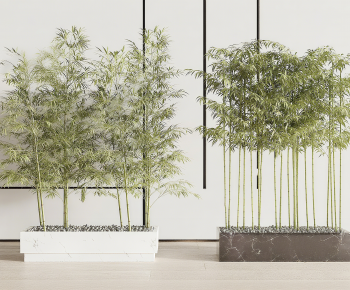 Modern Bamboo-ID:522767076