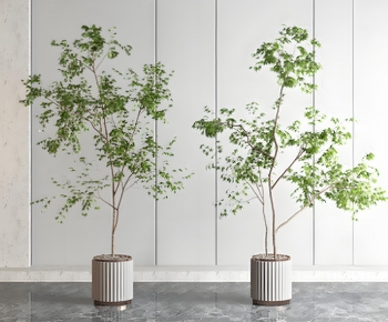 Modern Ground Green Plant Potted Plants-ID:964921003