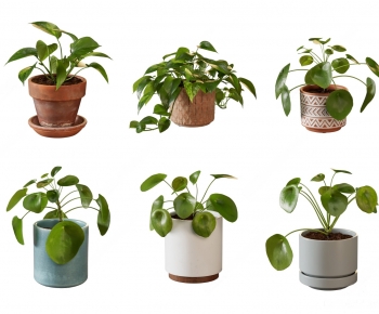 Modern Potted Green Plant-ID:994631053