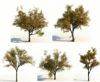 Modern Tree-ID:472929541