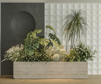 Modern Flower Bed, Flower Bowl, Flower Box-ID:505897056