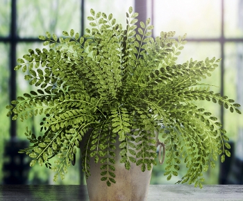 Modern Potted Green Plant-ID:706276896
