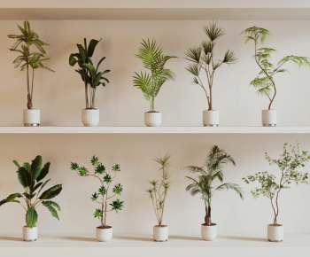 Modern Ground Green Plant Potted Plants-ID:174897915