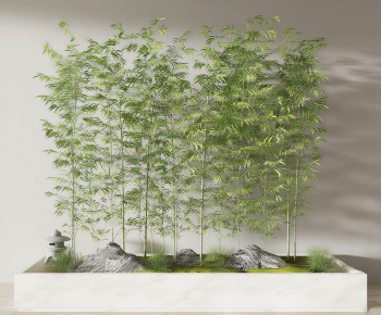 Modern Plant Landscaping-ID:457076072