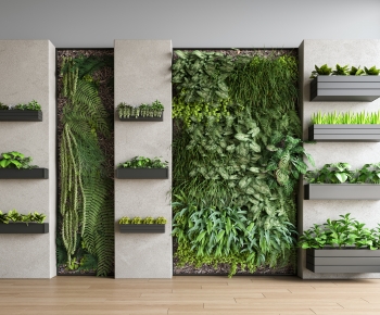 Modern Plant Wall-ID:465562113