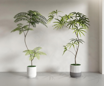 Modern Ground Green Plant Potted Plants-ID:367285015