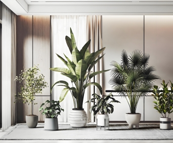 Modern Ground Green Plant Potted Plants-ID:232069589