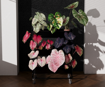 Modern Potted Green Plant-ID:526350029