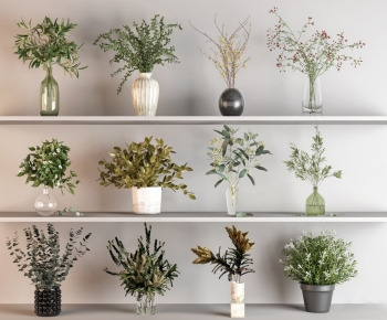 Modern Aquatic Green Plant-ID:487119913