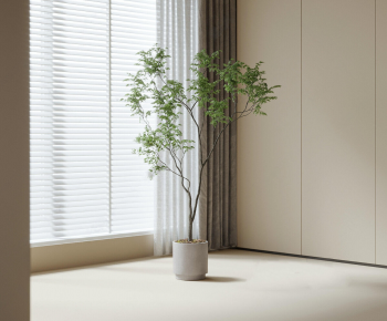 Modern Ground Green Plant Potted Plants-ID:376565936