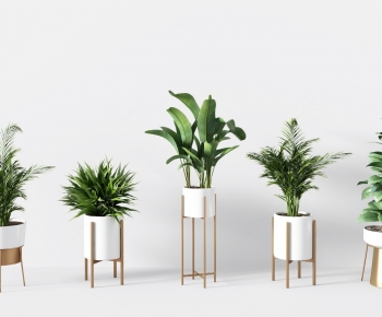 Modern Potted Green Plant-ID:539814951