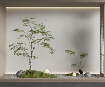 Modern Plant Landscaping-ID:973891021