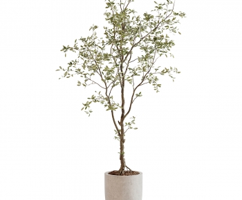 Modern Ground Green Plant Potted Plants-ID:368815901