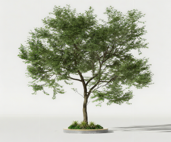 Modern Tree Pool-ID:726846934