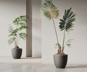 Modern Ground Green Plant Potted Plants-ID:223428967