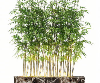 Modern Bamboo-ID:453200107