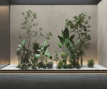 Modern Plant Landscaping-ID:491302973