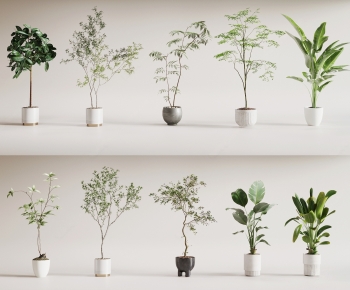 Modern Ground Green Plant Potted Plants-ID:932281977