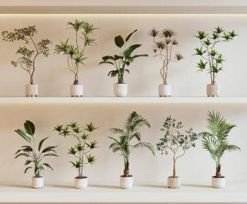 Modern Ground Green Plant Potted Plants-ID:271147977