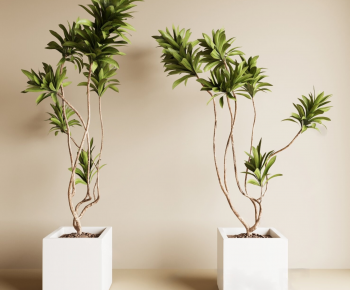 Modern Ground Green Plant Potted Plants-ID:942569027