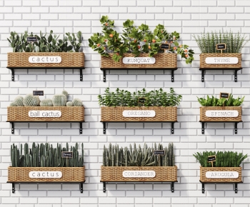 Nordic Style Flower Bed, Flower Bowl, Flower Box-ID:637012968