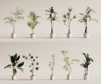 Modern Ground Green Plant Potted Plants-ID:110490396