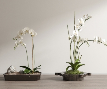 New Chinese Style Bonsai-ID:450769909