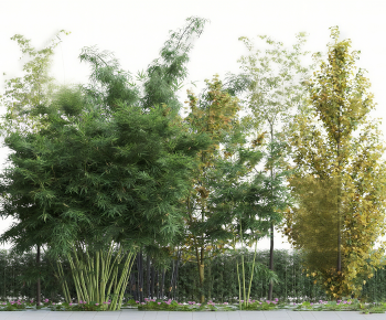 Modern Bamboo-ID:519625905