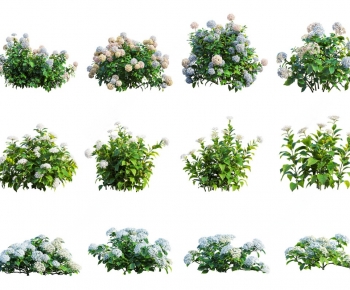 Modern Shrubbery-ID:250200031