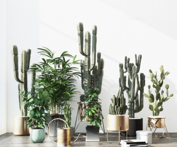 Modern Ground Green Plant Potted Plants-ID:171433937