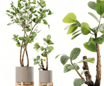 Modern Ground Green Plant Potted Plants-ID:102300672