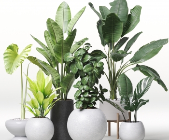 Modern Ground Green Plant Potted Plants-ID:261976966