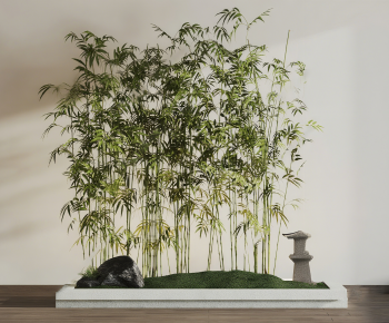 Modern Plant Landscaping-ID:989572051