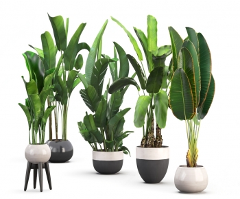 Modern Ground Green Plant Potted Plants-ID:203953987