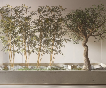 Modern Plant Landscaping-ID:289149057