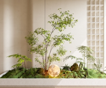 Modern Plant Landscaping-ID:589138987