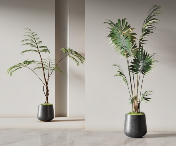 Modern Ground Green Plant Potted Plants-ID:797924043