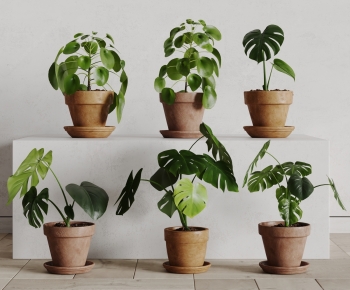 Modern Potted Green Plant-ID:124738932