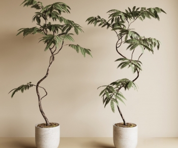 Modern Ground Green Plant Potted Plants-ID:674766063