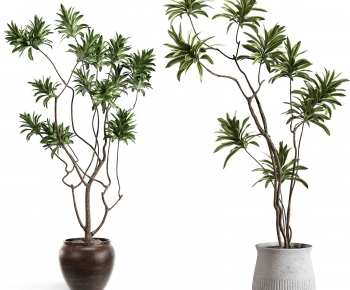 Modern Ground Green Plant Potted Plants-ID:615283015