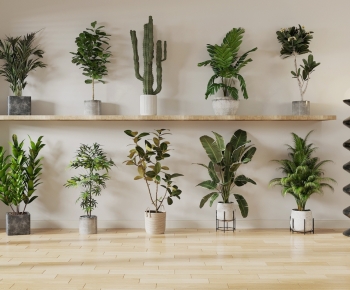 Modern Ground Green Plant Potted Plants-ID:106365927