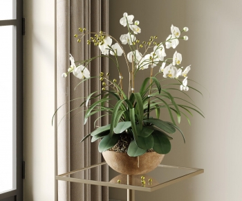 Modern Bonsai-ID:832135927