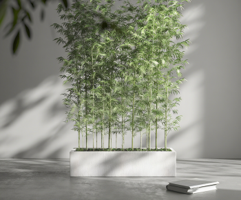 Modern Bamboo-ID:726366046