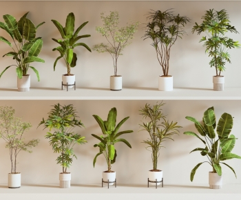 Modern Ground Green Plant Potted Plants-ID:812109953