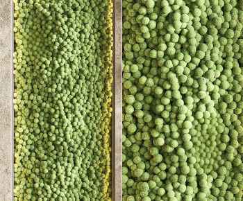 Modern Plant Wall-ID:179491043