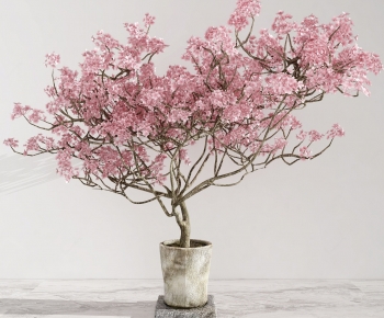 Modern Ground Green Plant Potted Plants-ID:175458918