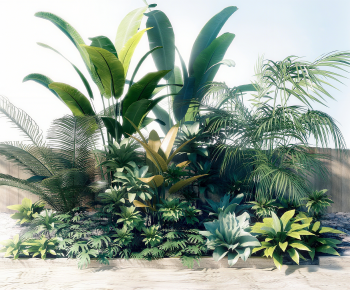 Modern Plant Pile-ID:611341956